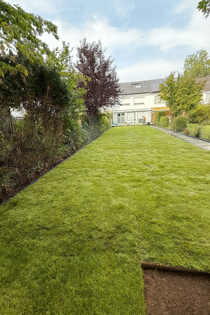 Rollrasen verlegen lassen Wuppertal